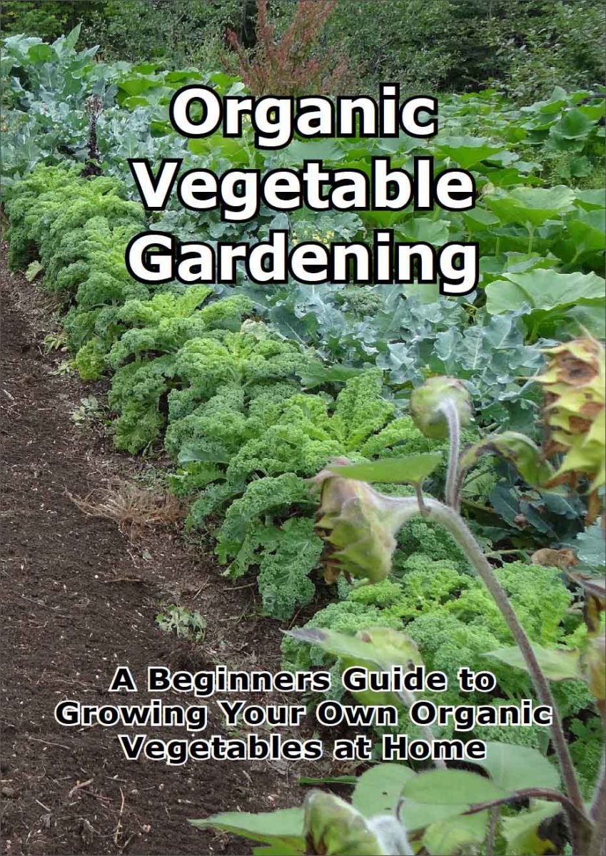 Organic Vegetable Gardening - A Beginners Guide!