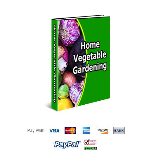 Home Vegetable Gardening