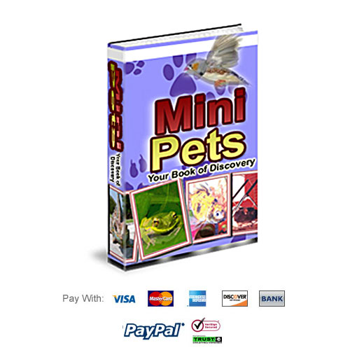 Mini Pets