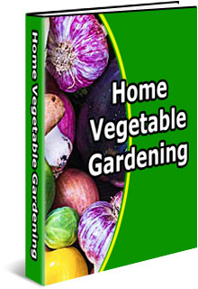 Home Vegetable Gardening